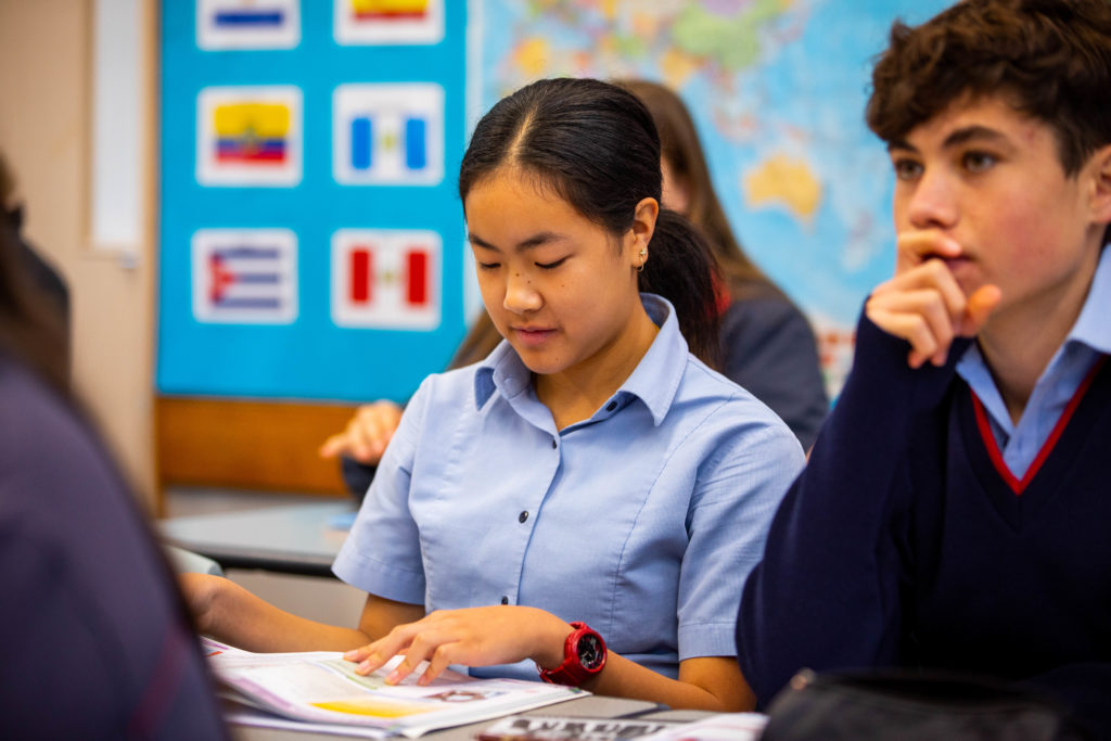 NCEA Revision and Study Skills 3